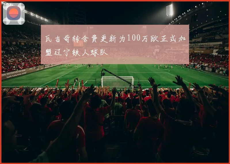 瓦吉奇转会费更新为100万欧正式加盟辽宁铁人球队