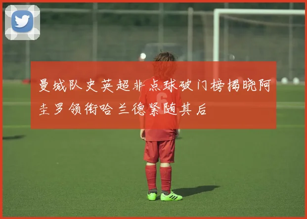 曼城队史英超非点球破门榜揭晓阿圭罗领衔哈兰德紧随其后