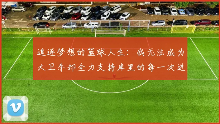 追逐梦想的篮球人生：我无法成为大卫李却全力支持库里的每一次进攻
