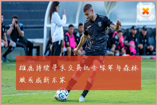 雄鹿持续寻求交易机会绿军与森林狼或成新东家